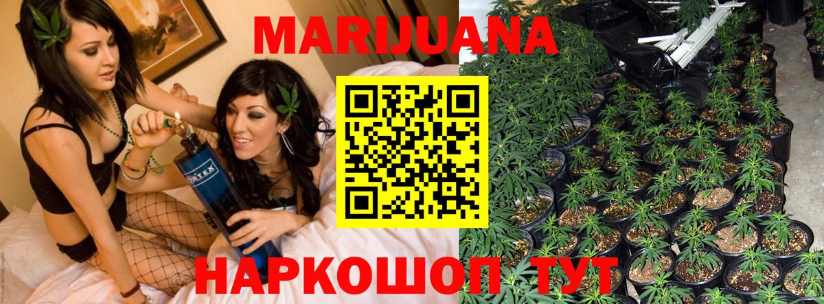 Бошки марихуана White Widow  Вход с VPN  Северск  МАРИХУАНА семена 